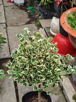 img-1764