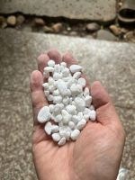 z7678792871575-e6b169beadc855ddbb48b8ee4693f15c