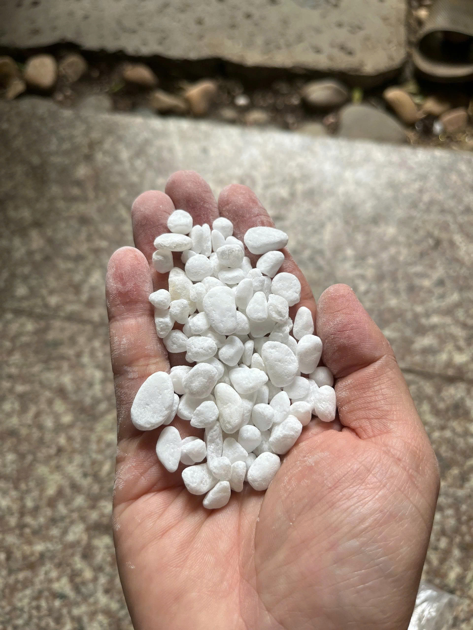 z7678792871575-e6b169beadc855ddbb48b8ee4693f15c