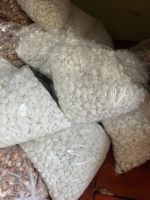 z7678792894155-1b569ad3ce6d4929e00661864d5b1eb9