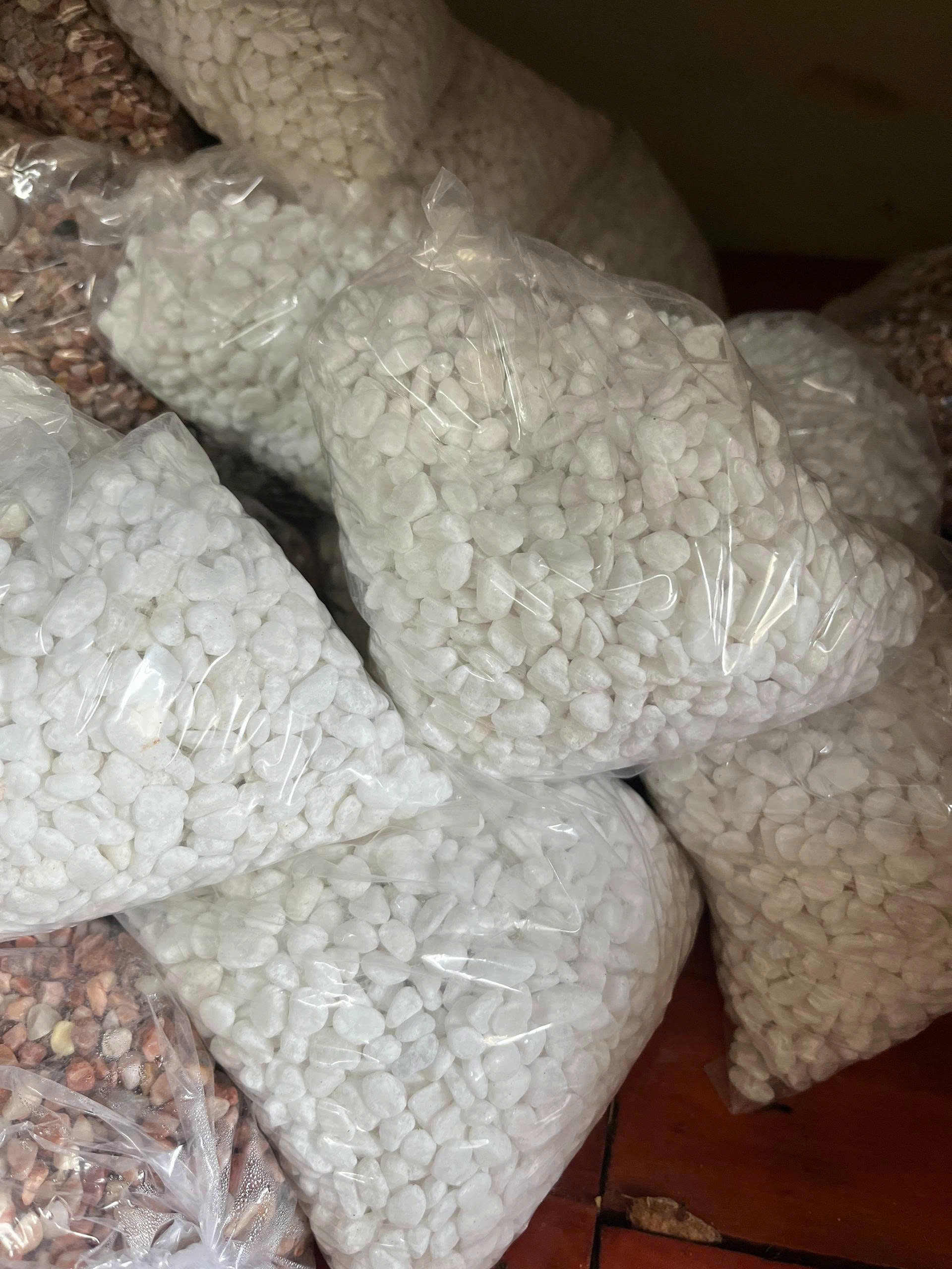 z7678792894155-1b569ad3ce6d4929e00661864d5b1eb9