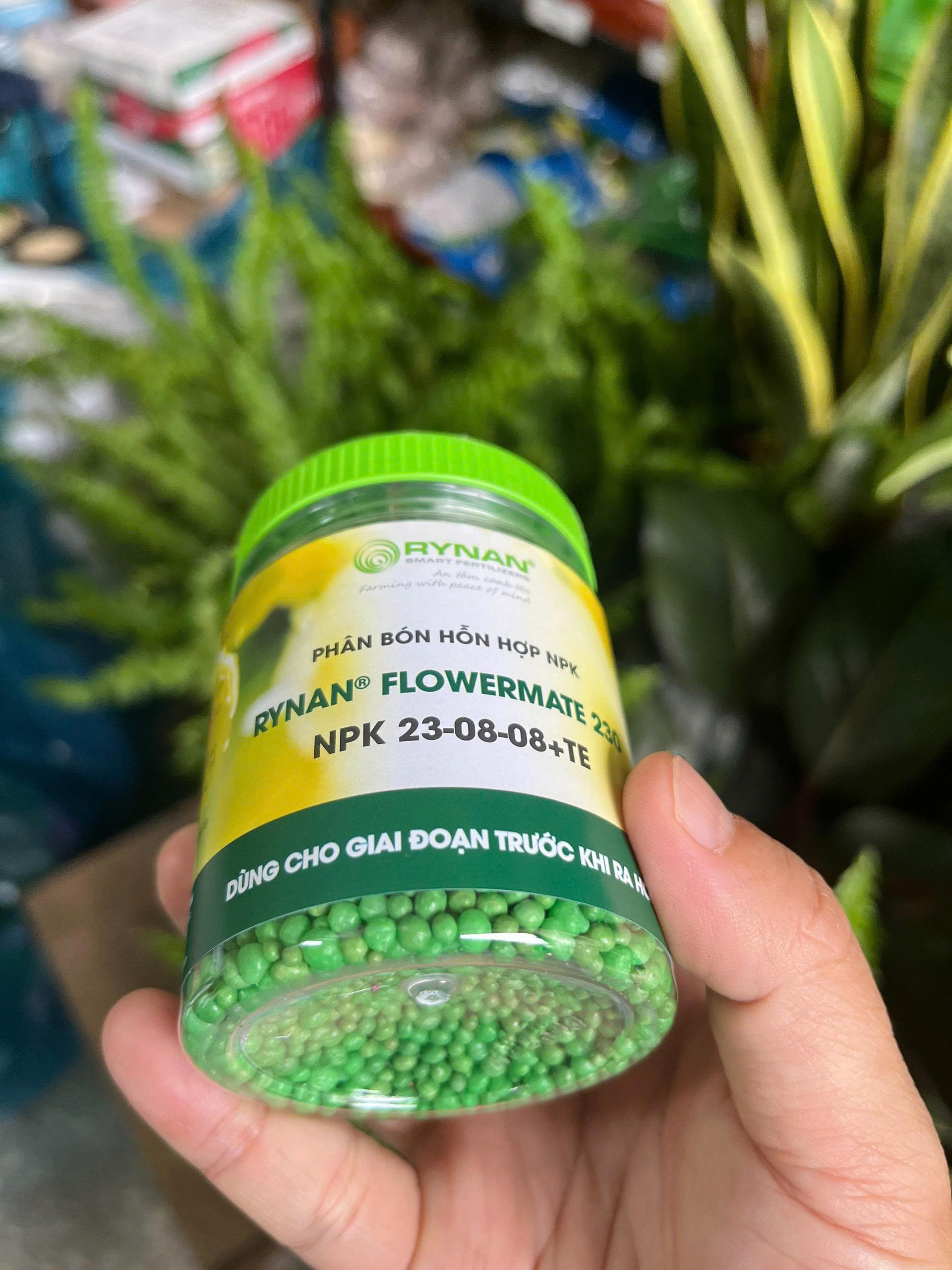 z7679885713929-ba78bcc6d8e5fb64781341d776480c9a