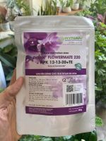 z7679904267784-a0b317d19d59cb0e1f49f75d90aecd86