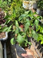 z7681067948611-963b1eaea26af442f57fb48f2a41b327