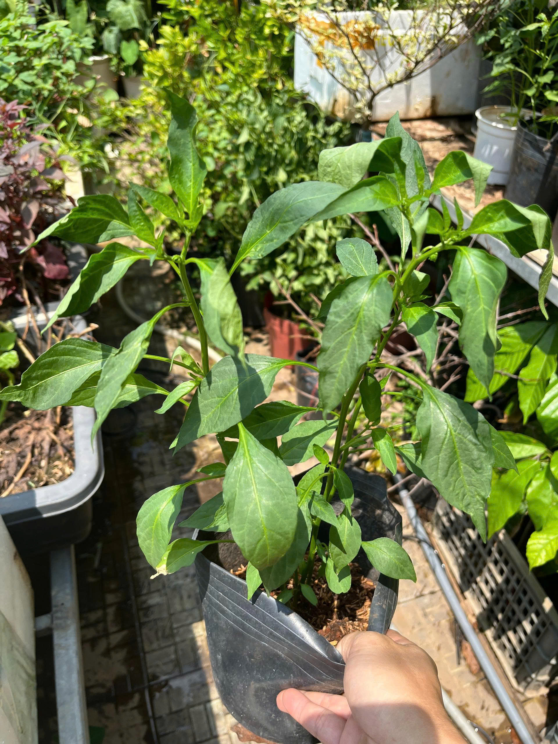 z7681067948611-963b1eaea26af442f57fb48f2a41b327