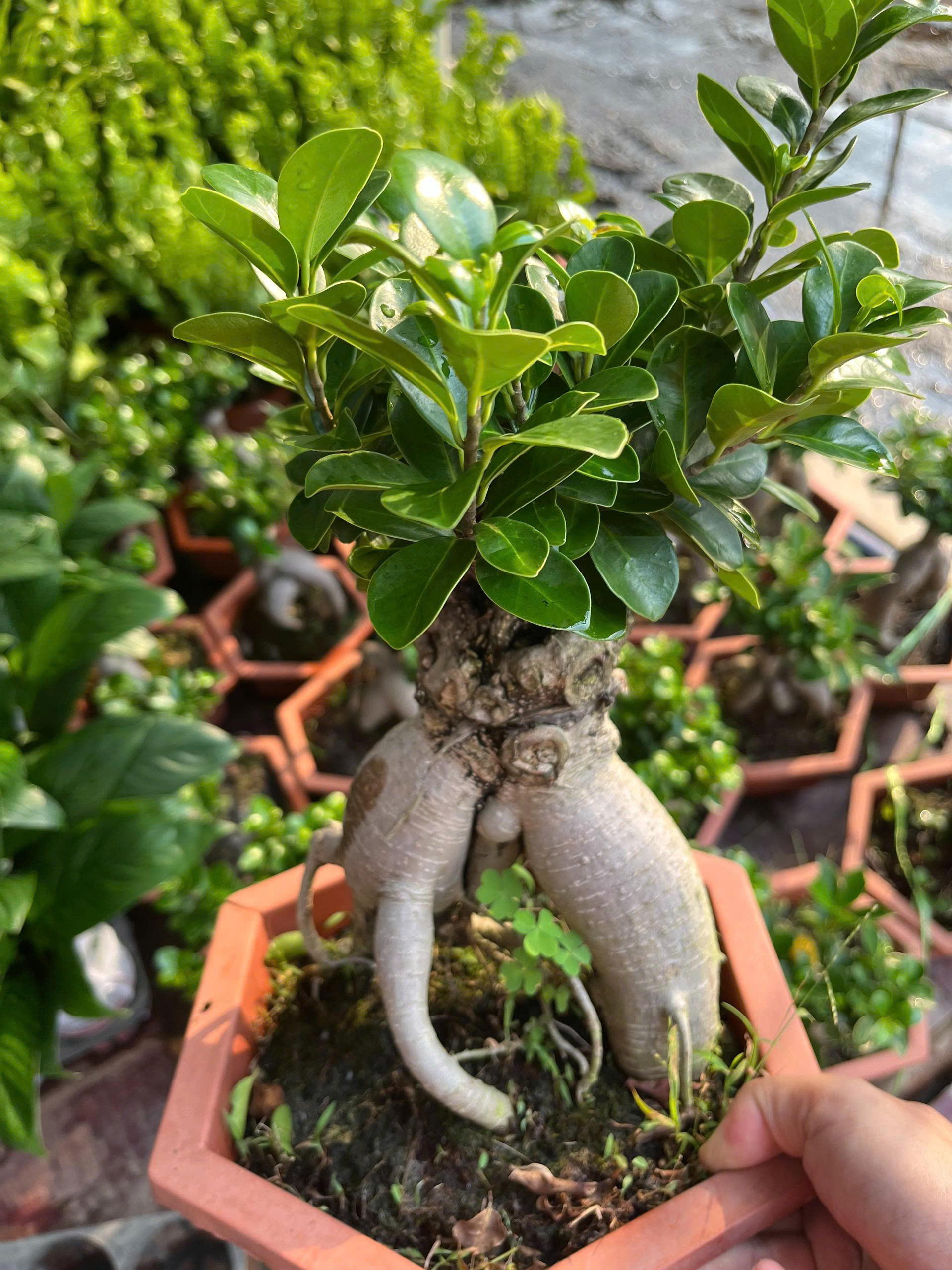 z7681109670512-3de206562a80fa58f0200983c528437d