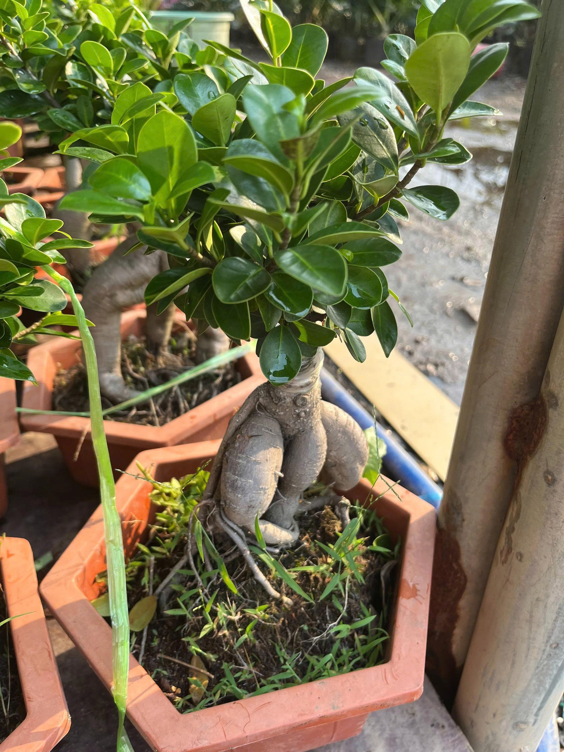 z7681109724886-d92a2a83bbdfef7c99204a7c029c98bb