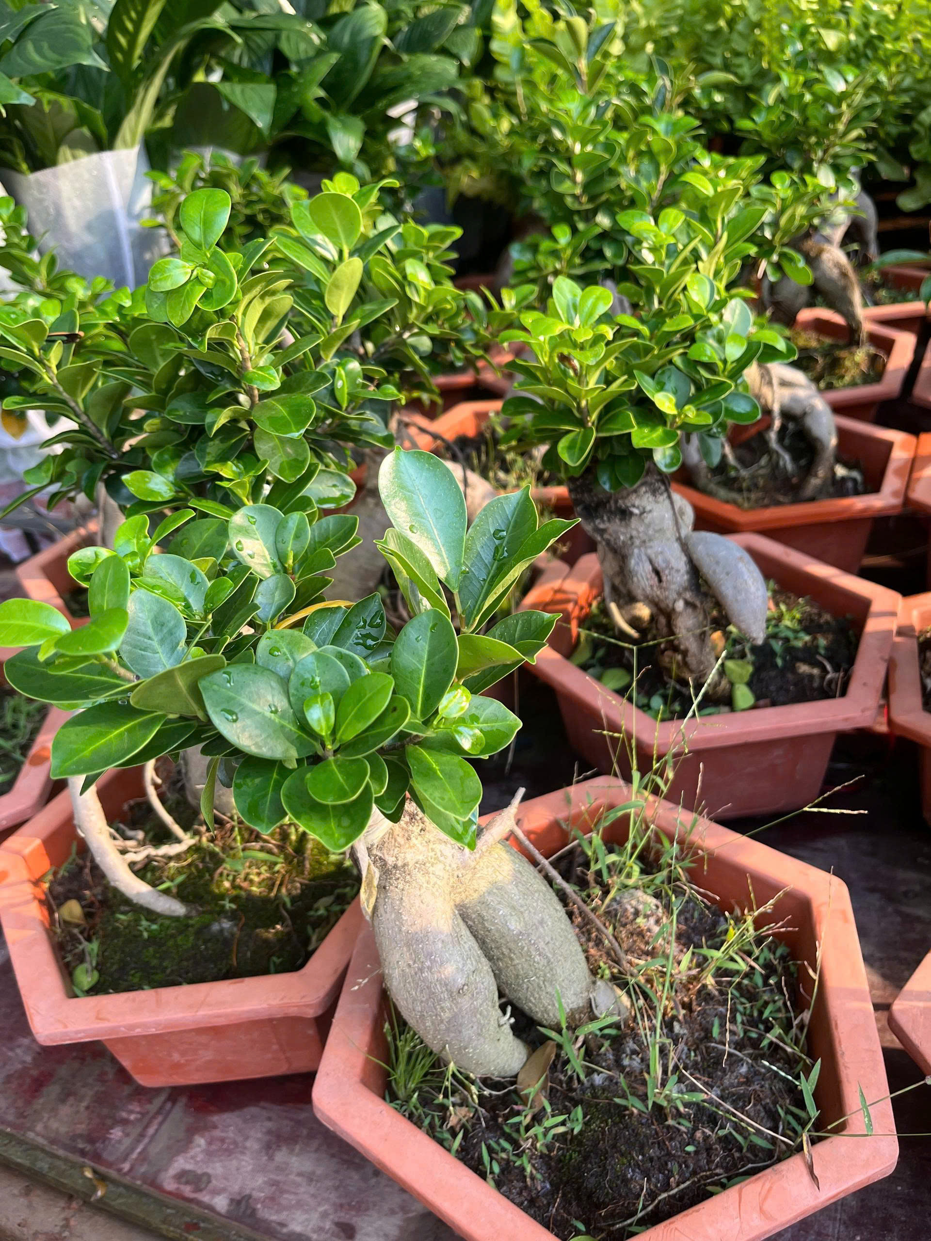 z7681109763164-909577f82d95f13ee8289855addff123