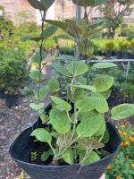 z7685150059721-f314d4d7d2fd2db6d308af614f8023fb