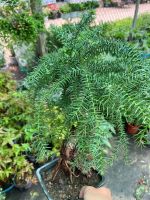 z7688657455289-1c626ba121b6427917a3c6b7335b5d96