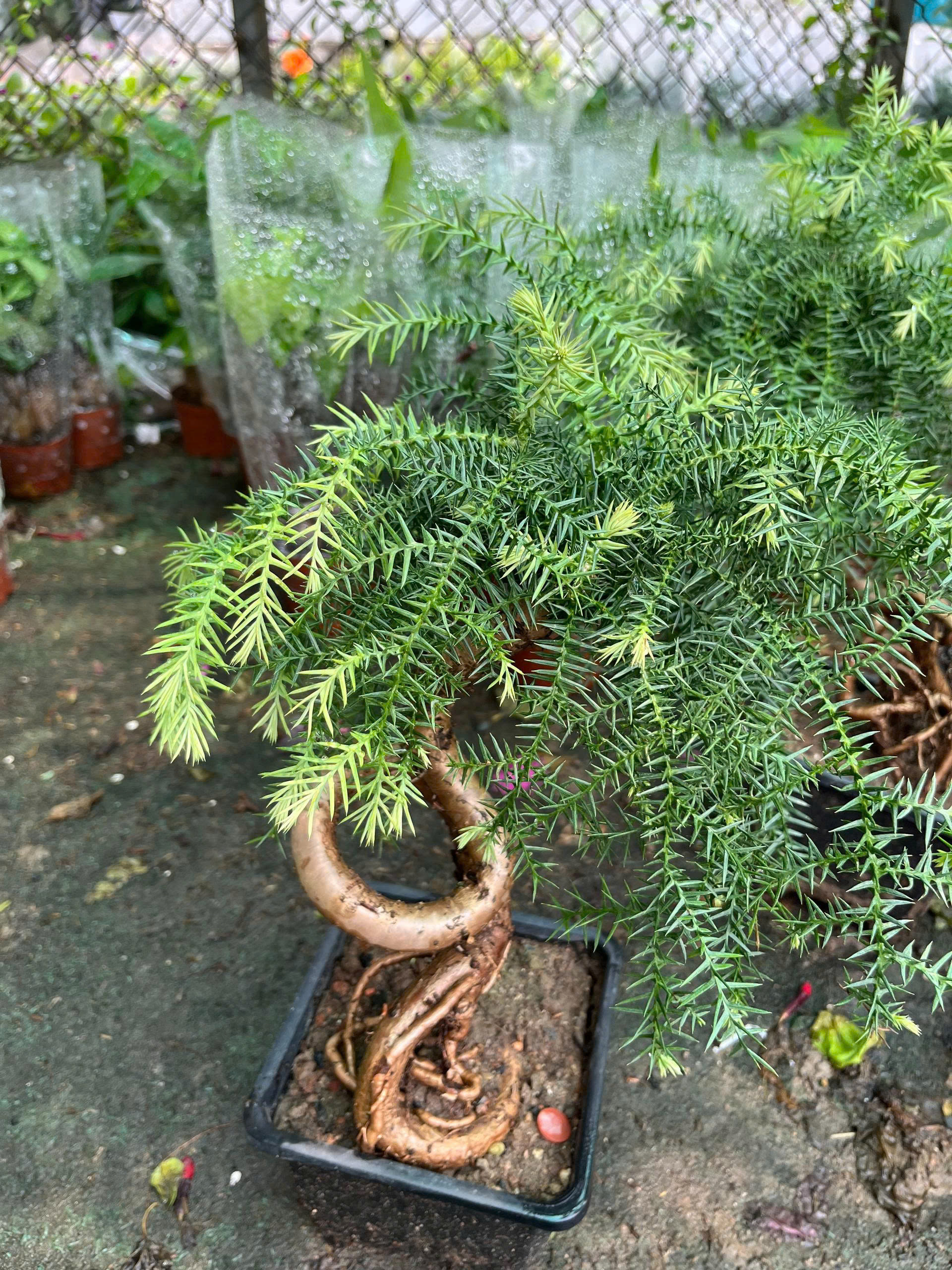 z7688657455296-cb4a7a14b112e21d5faf926a583c93ca