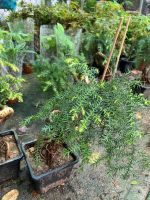 z7688657515494-3c62da7f39810cb72f53bbccebd051c8