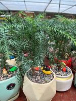 z7688679958988-ca96a4c582cbe028332242890b894117