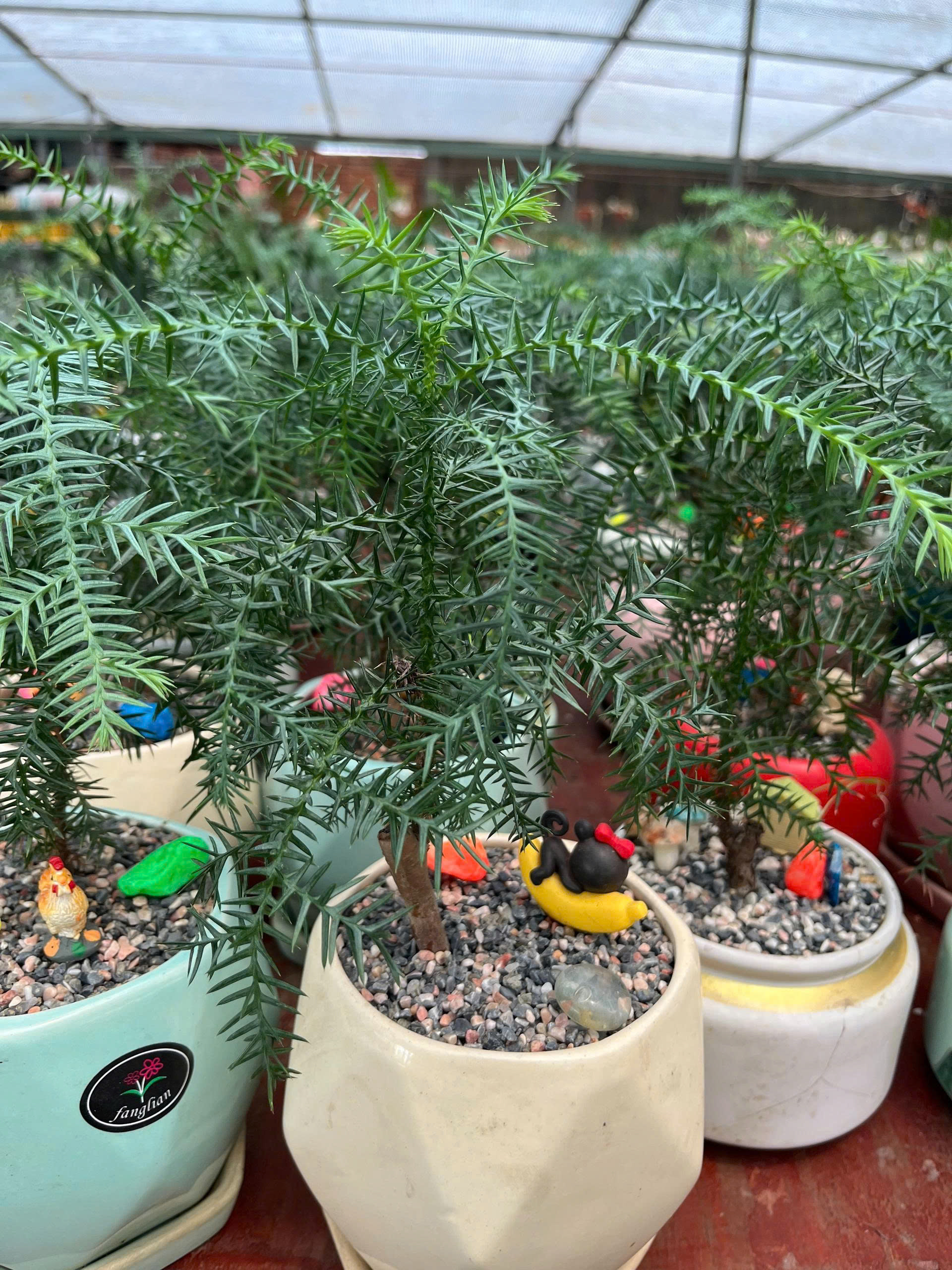 z7688679958988-ca96a4c582cbe028332242890b894117