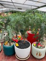 z7688679959109-f1d67cc021263ae45076127c8f9bf47f