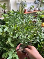 z7688727686220-42cf9b9ed8f20d010e18c3ad7f14588e