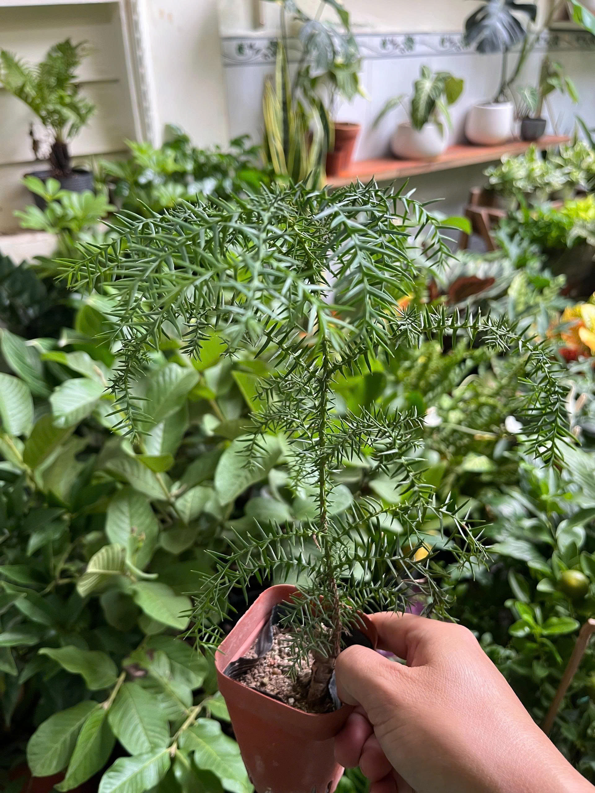 z7688727686220-42cf9b9ed8f20d010e18c3ad7f14588e