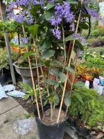 z7688805667321-bcb3708083fb057c1038b25af0f76f0f