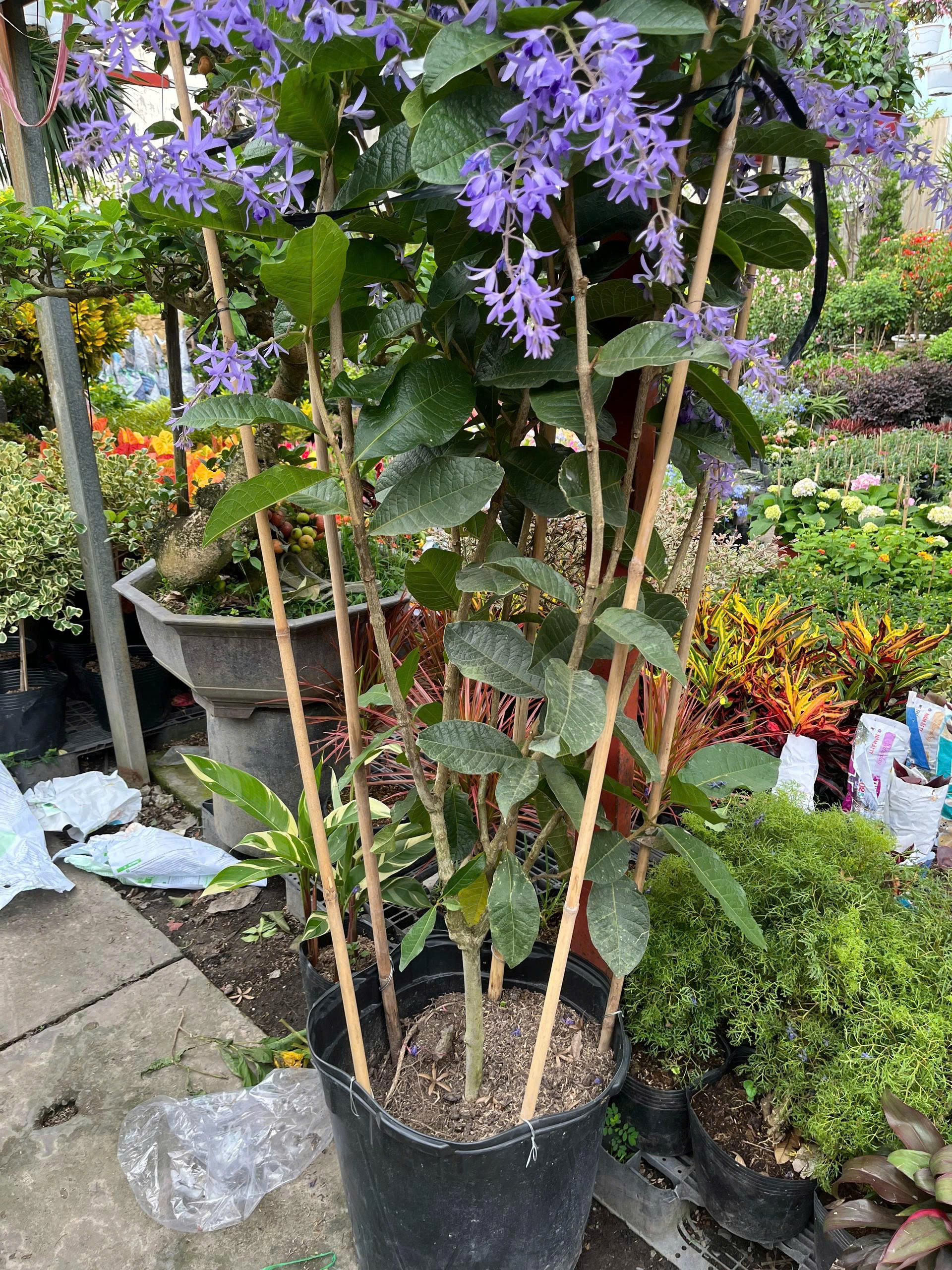 z7688805667321-bcb3708083fb057c1038b25af0f76f0f