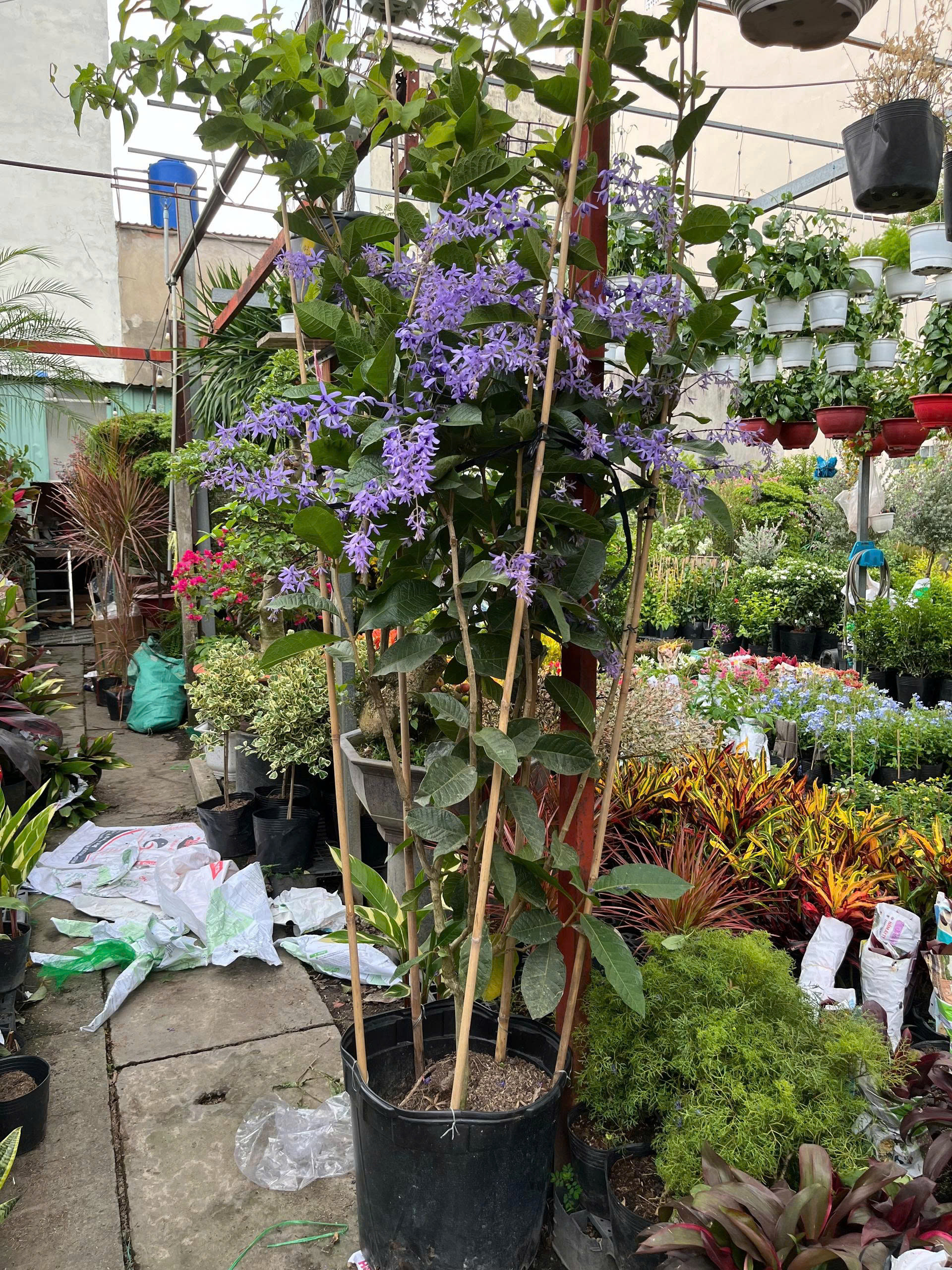 z7688805722406-023ca77b961759d69f7a4bbc294021b1