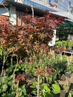 z7693710400456-86012168f6444b7465d9974b41d8a9b0