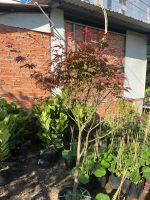 z7693710408124-b288c0a466ad4645ccce175aa12853b8