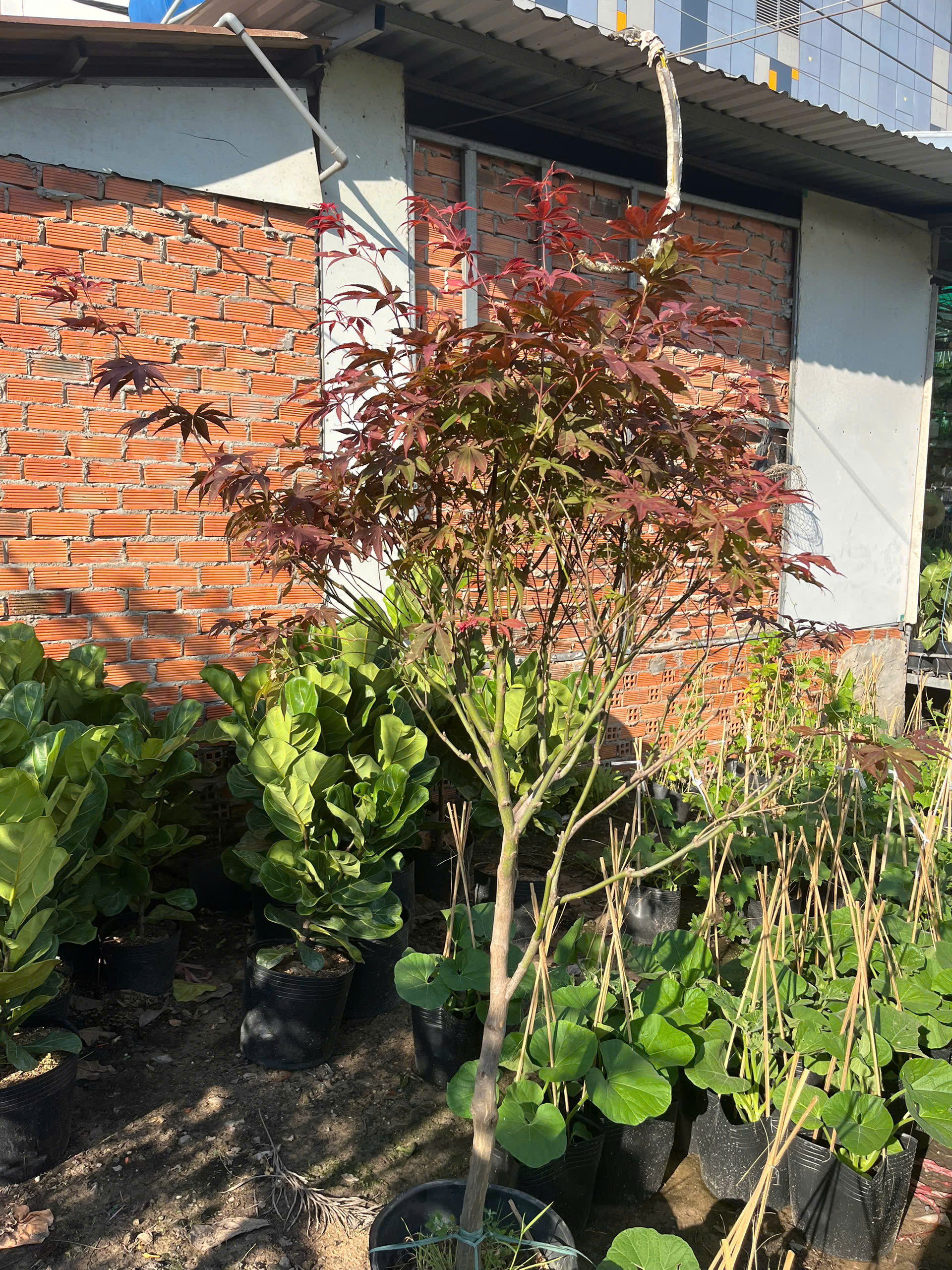 z7693710408124-b288c0a466ad4645ccce175aa12853b8