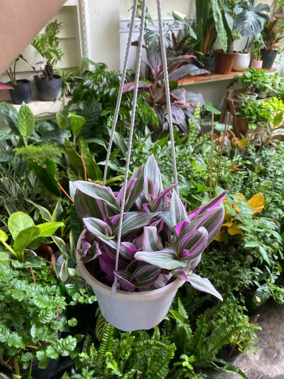 z7703154060069-36f8dd915b003c5429f357d429853c4b