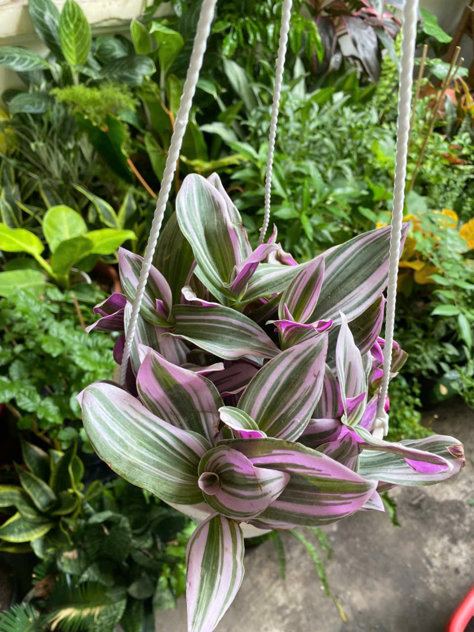 z7703154066593-1dd0a6d1c6e4021faf849809d764f024