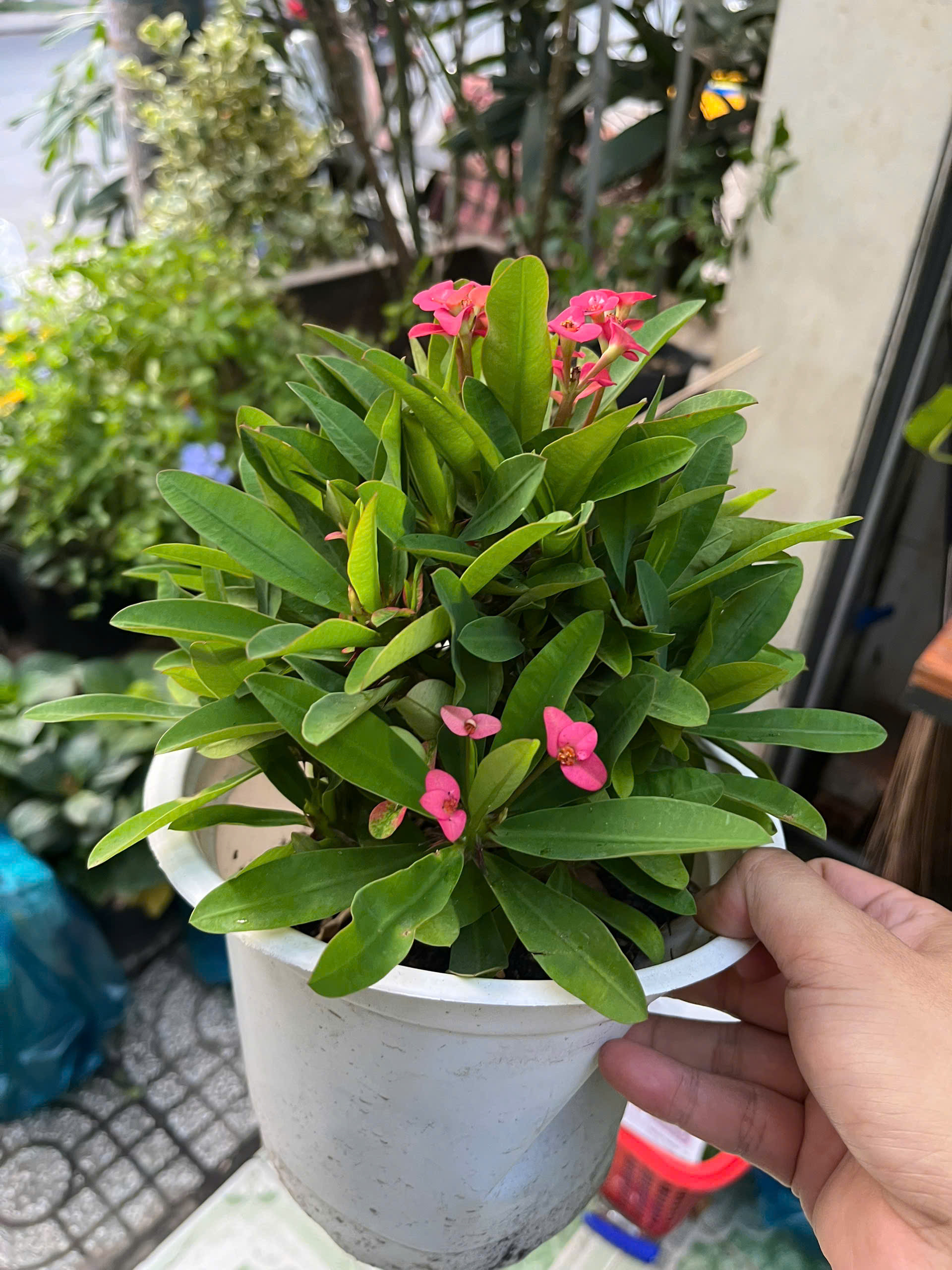 z7715631405084-4f2ec51274235d284efae0ef0c7dfd13