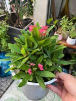 z7715631406490-1edfdd42aac38735422d6de3a3b0ca94