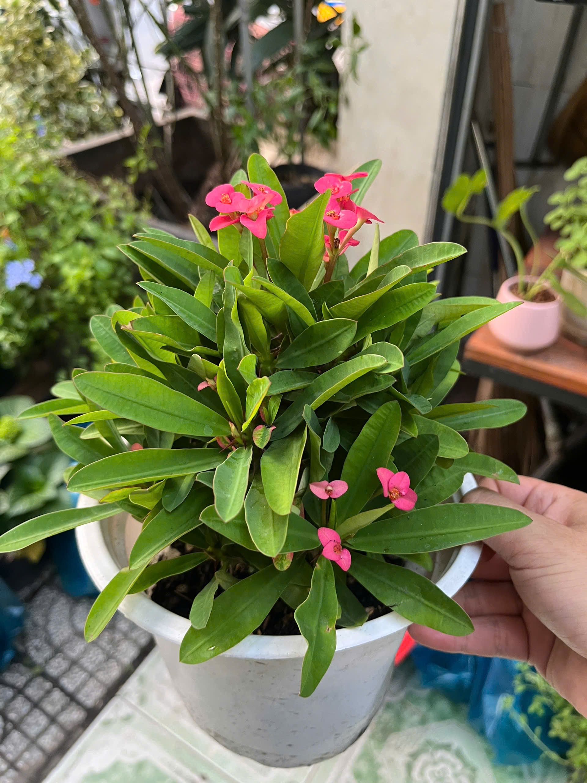 z7715631447817-5b06e44e04e1345eb03c4c1b49d4198b