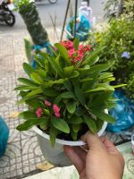 z7715631452599-87480a2392ad86902e48c855bfcfa26d