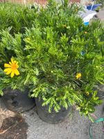 z7715632745600-6edf93af0b906d7d99922b9a9c4a2d02