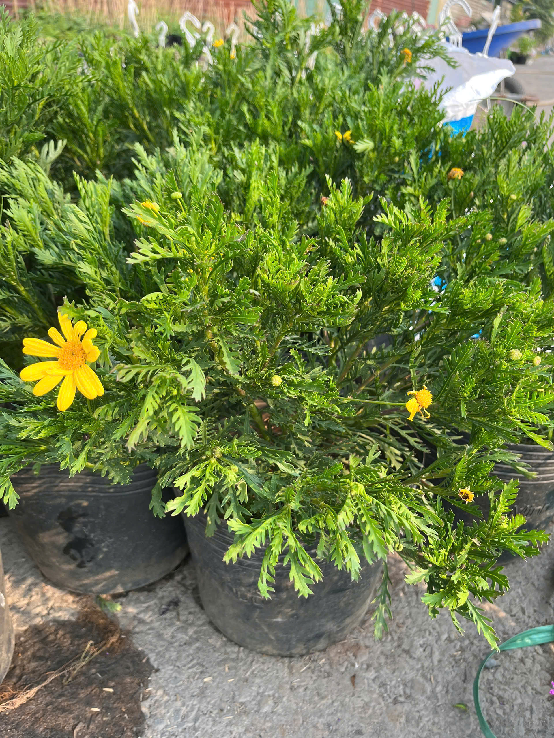 z7715632745600-6edf93af0b906d7d99922b9a9c4a2d02