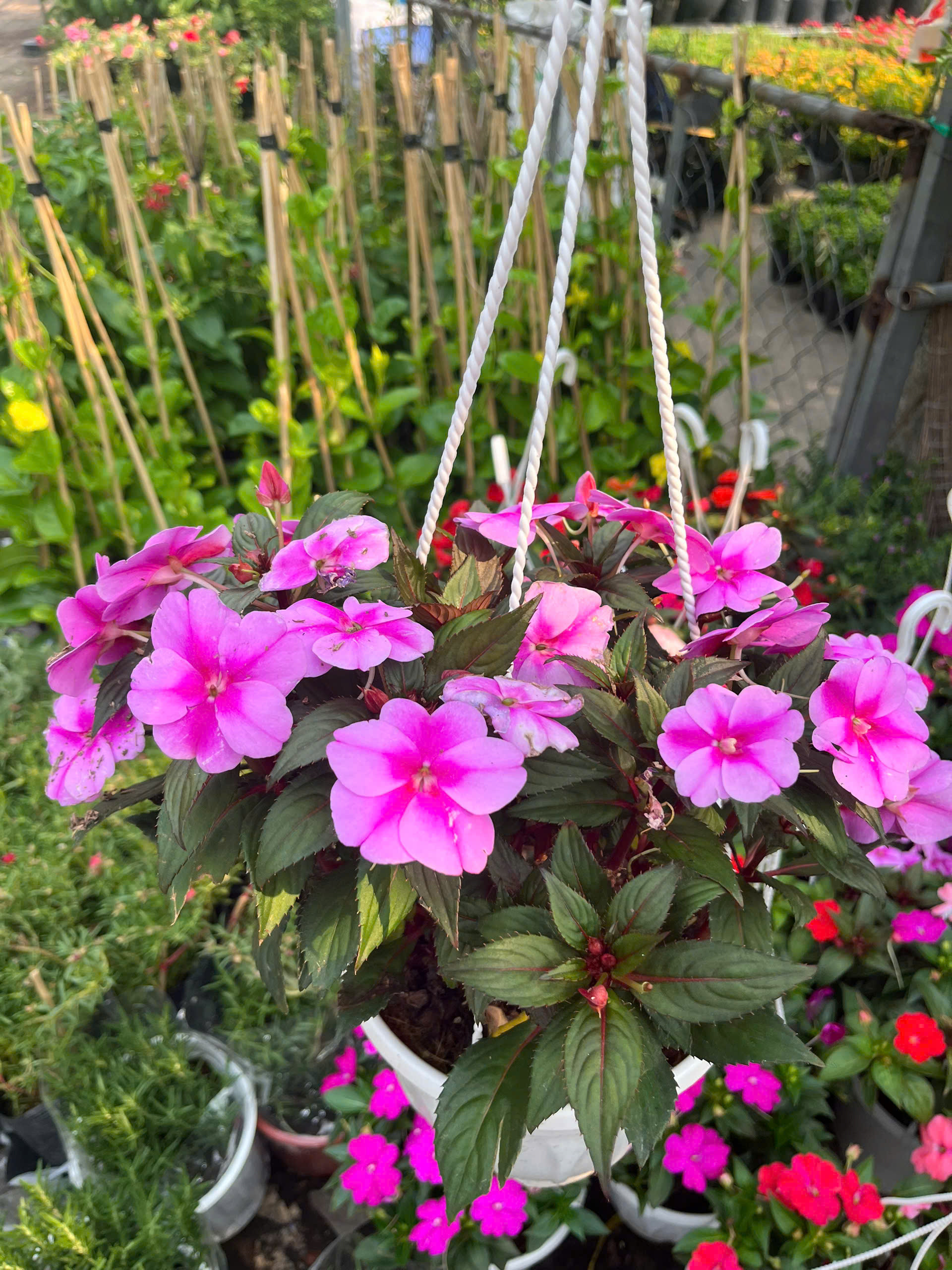 z7715634016305-9249c6a9d26804805195acb405004b8a