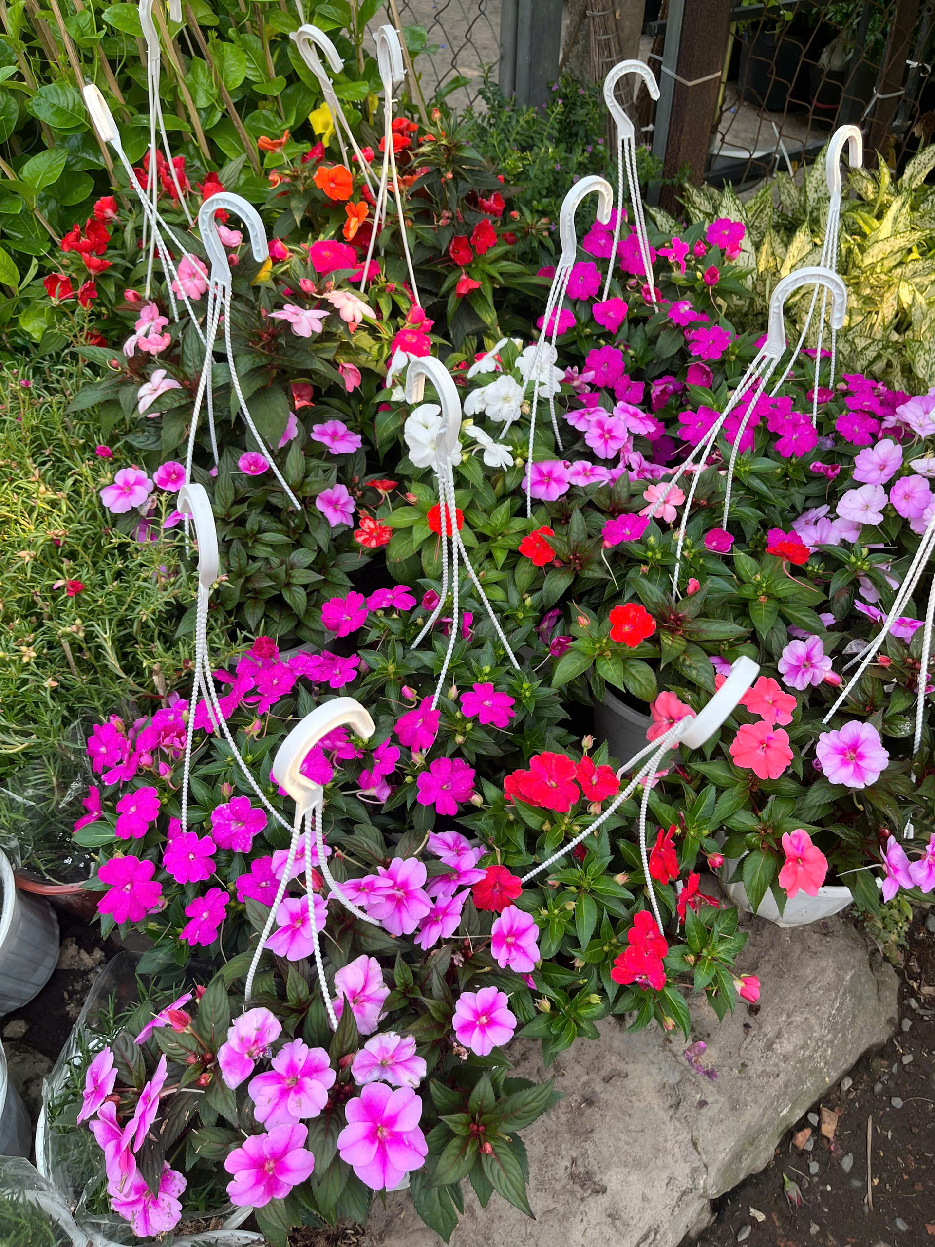 z7715634022194-7b95d7e0ba2ab3bbca9e8dc38b8c9056