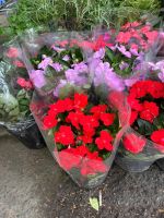 z7715634025338-05dd3d00bccb270c6f08faf1395719a2