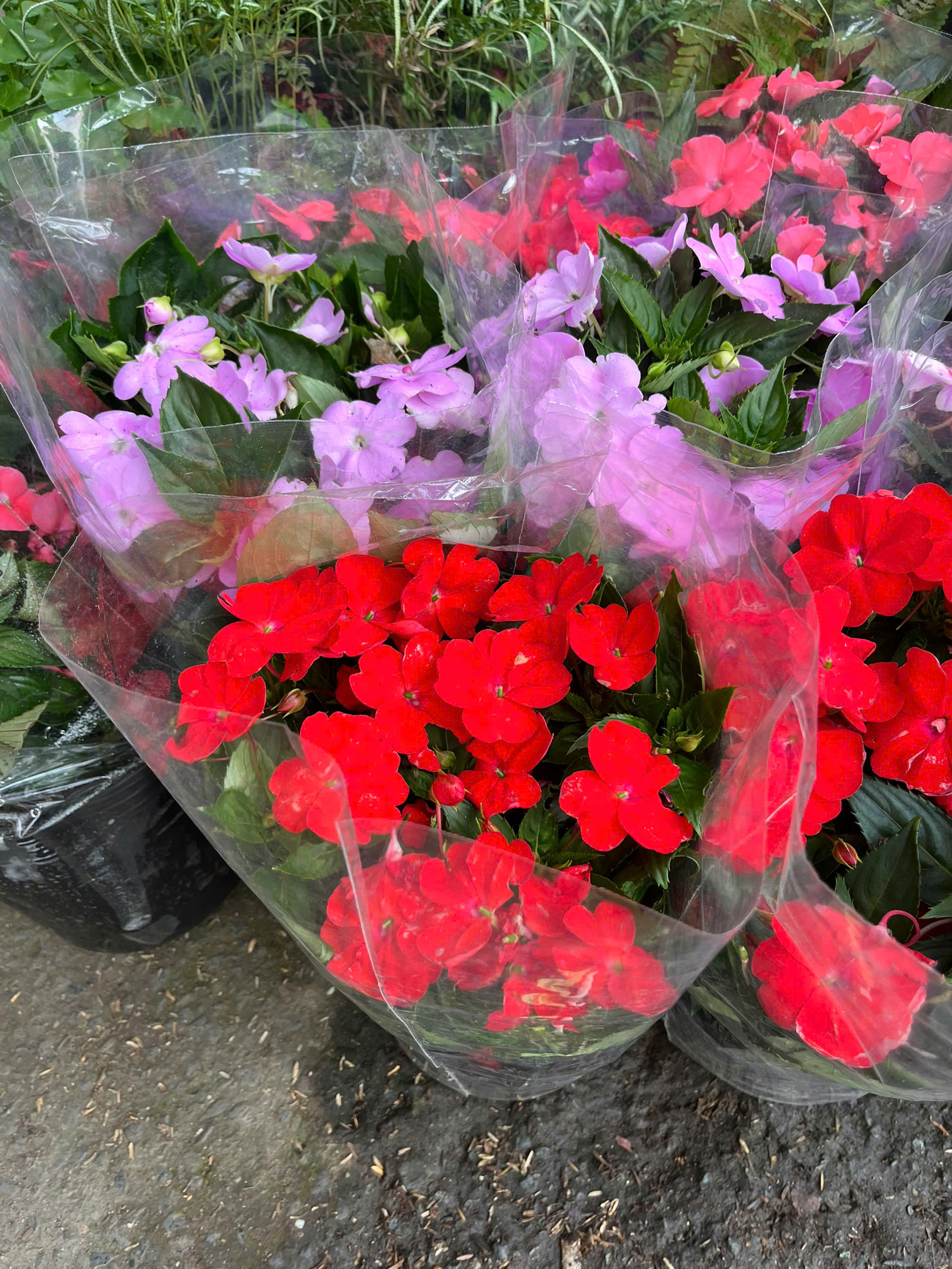 z7715634034543-e03e0426c508af7cb1b2cd8dcdc58387