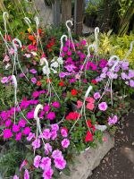 z7715634043816-9cd20ae2f5380e7ec925e18c6324e7c8