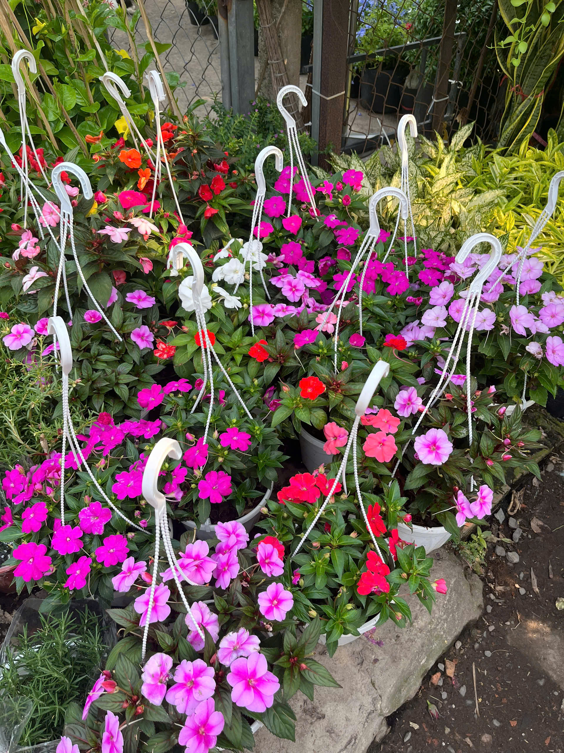 z7715634043816-9cd20ae2f5380e7ec925e18c6324e7c8