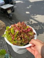 z7716031691960-797e1ab822a104657590483706d85450