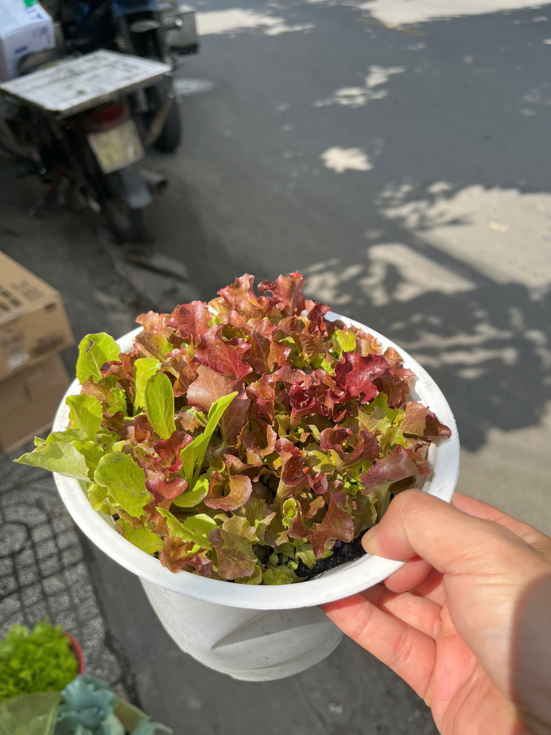 z7716031691960-797e1ab822a104657590483706d85450