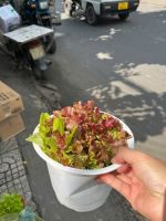 z7716031746663-5cdaffce32e0c624624e3a37840522d2