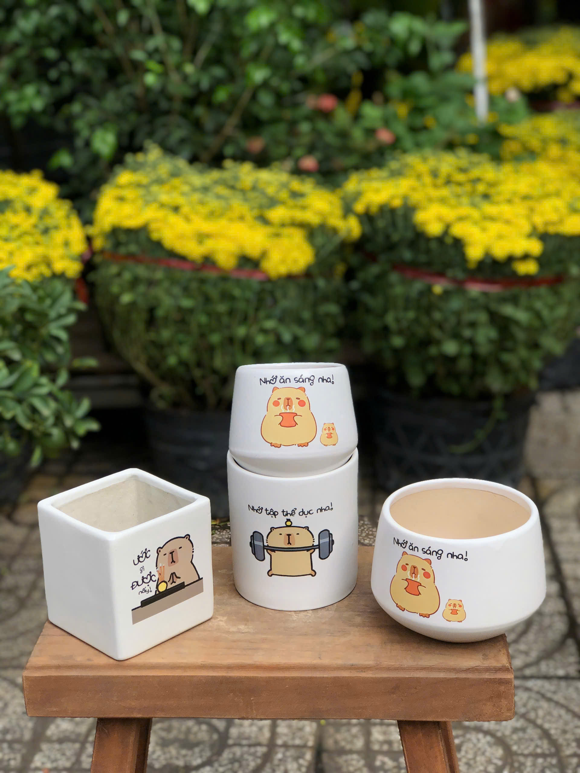 z7721553941452-d0878c439fa39a7ac9a29878e08ab422