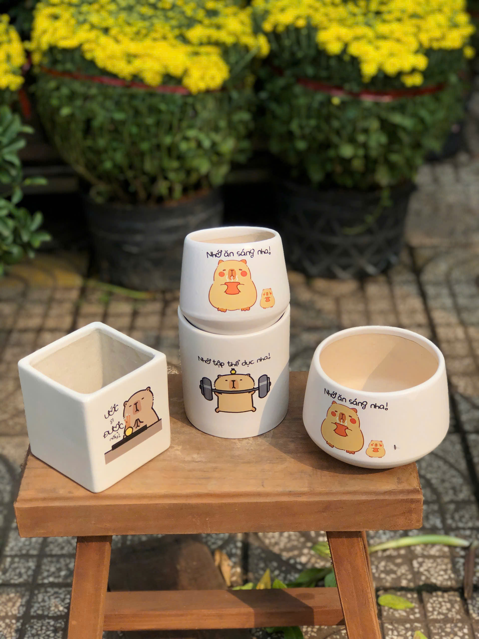 z7721553961349-f74b5ecdfd92f0fadf6503f8d5ea5f16