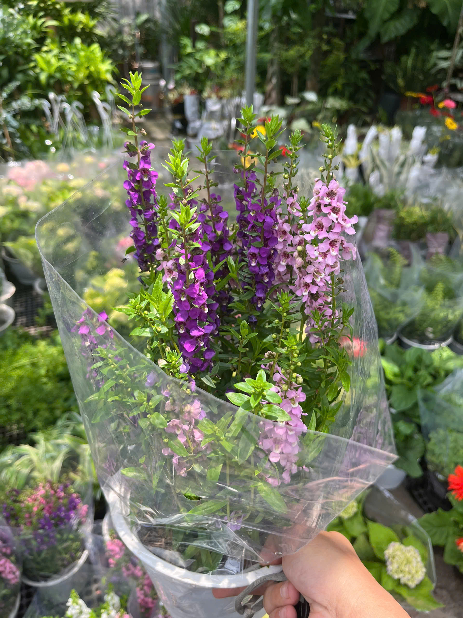 z7738593597329-96763f1c5cfe9953ba15a7fe2fa276f3