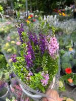 z7738593621231-ec174cea9d82154ca2b575c33d780e68