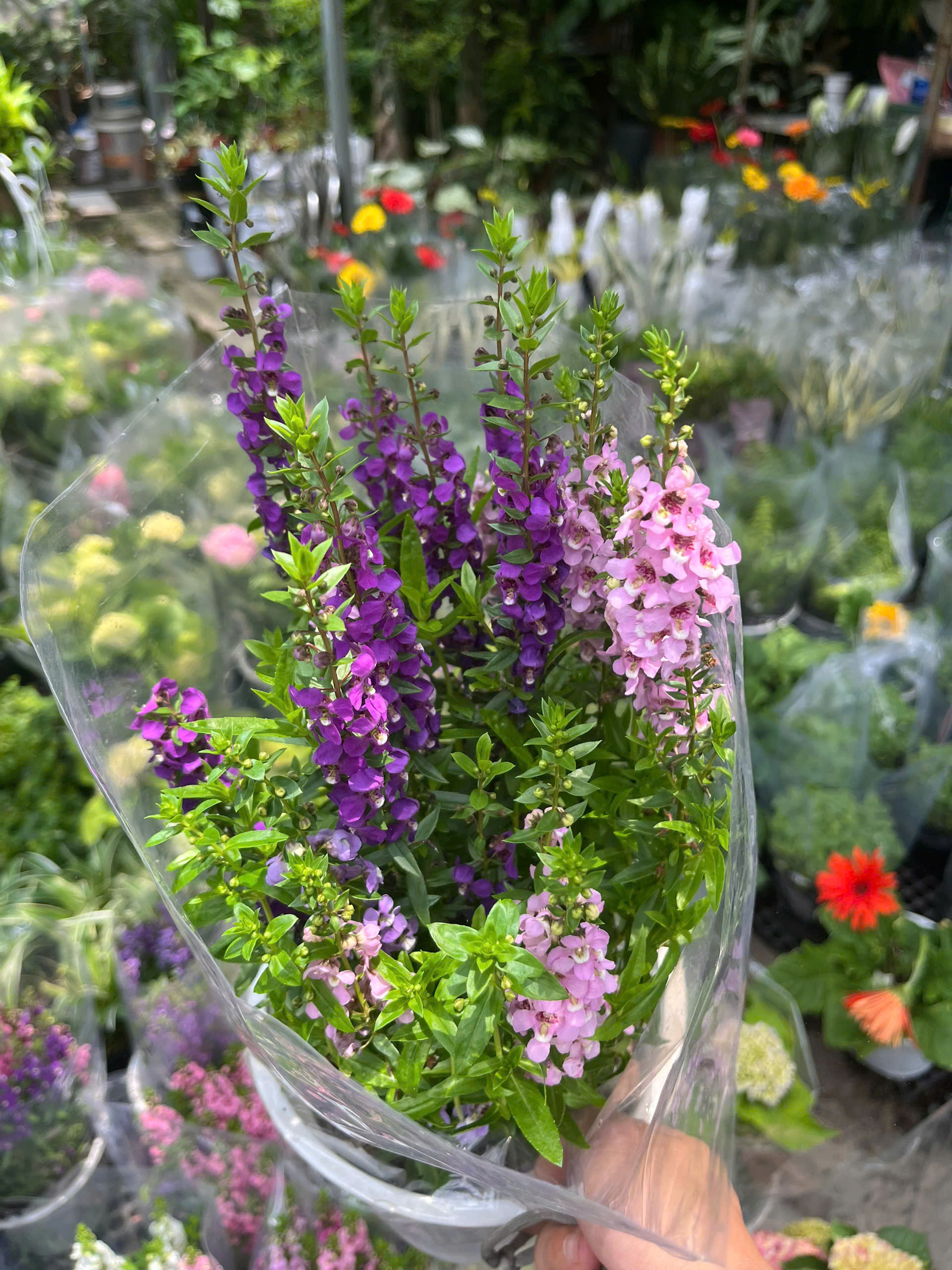 z7738593621231-ec174cea9d82154ca2b575c33d780e68