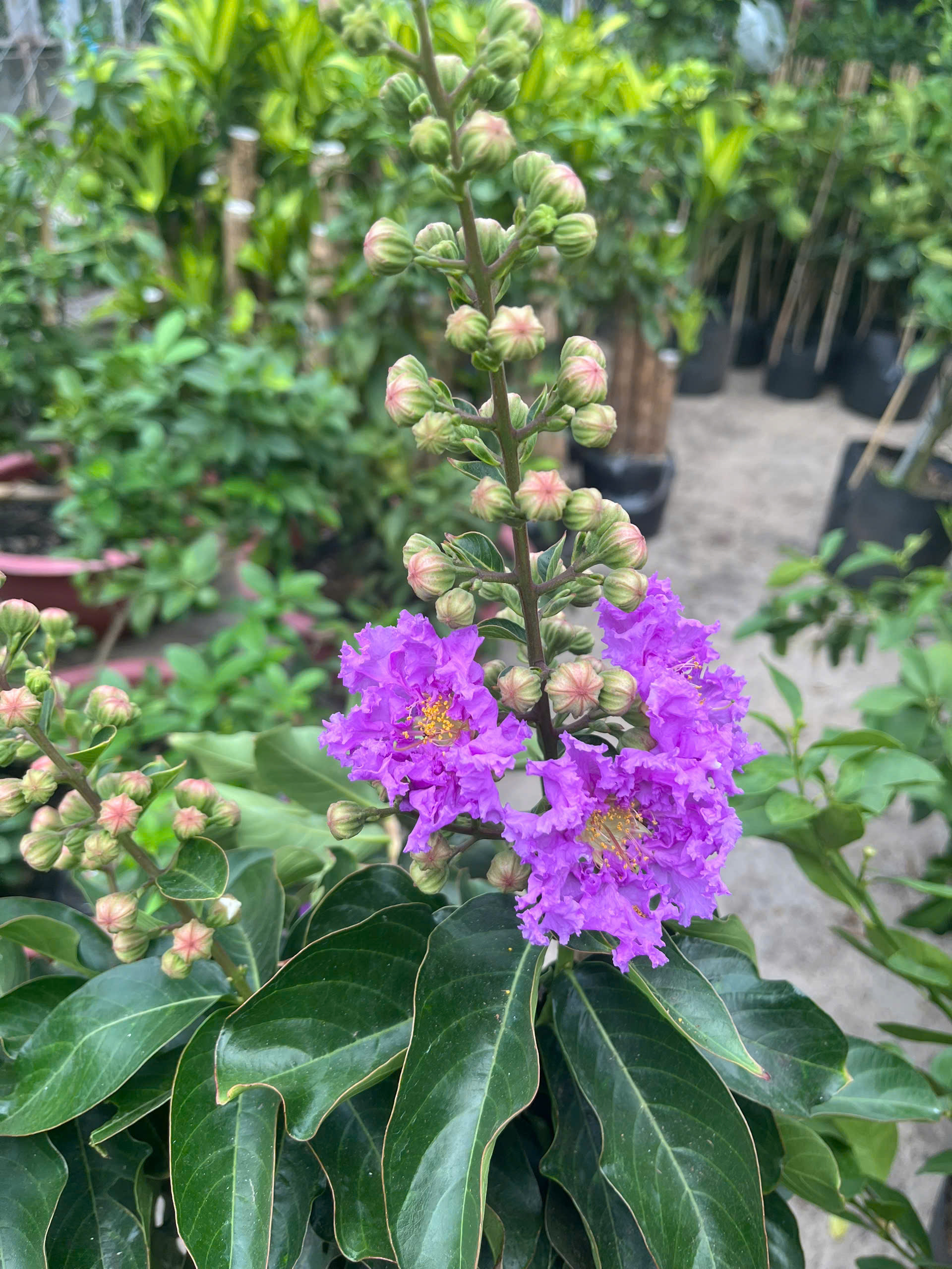 z7738594143804-8f99bf6de7b2c56ef12b4f0b14e4d270